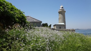 DSC06666